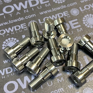 100 Screws DIN 65517-08008A (Mj8x19,5 mm.)