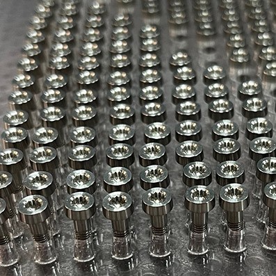 Screw LN 299500316 Mj3x16 mm. Titanio gr. 5 (6Al4V)