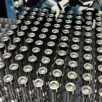 Screws LN 29950J0538 M5x38 mm. Titanio gr. 5 (6Al4V)