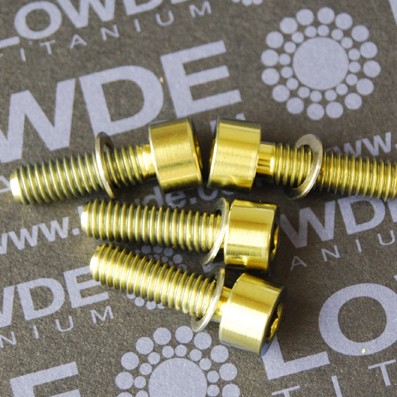 Conjunto 4 tornillos DIN 912 M6x20 titanio gr. 5 (6Al4V) anodizados oro