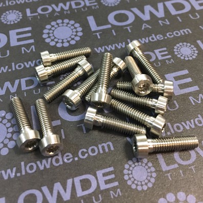 59 Screws LN 29950J0416 M4x16 titanio gr. 5 (6Al4V)