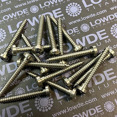 100 Tornillos DIN 7981 �5,5x45 mm. de Titanio grado 2