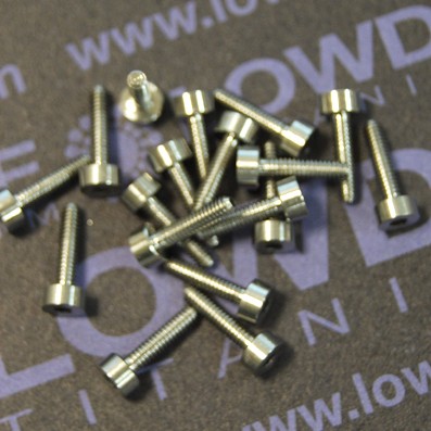 DIN 912 M2x8 titanio gr. 5 (6Al4V) - Tornillo DIN 912 M2x8 mm. de titanio gr. 5 (6Al4V)