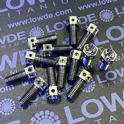 Hexagonal M5x12 mm.Titanio gr. 5 (6Al4V) con taladros