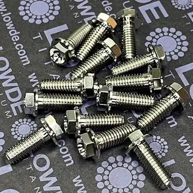 Tornillo hexagonal con balona M6x16 mm. Titanio gr. 5 (6Al4V)